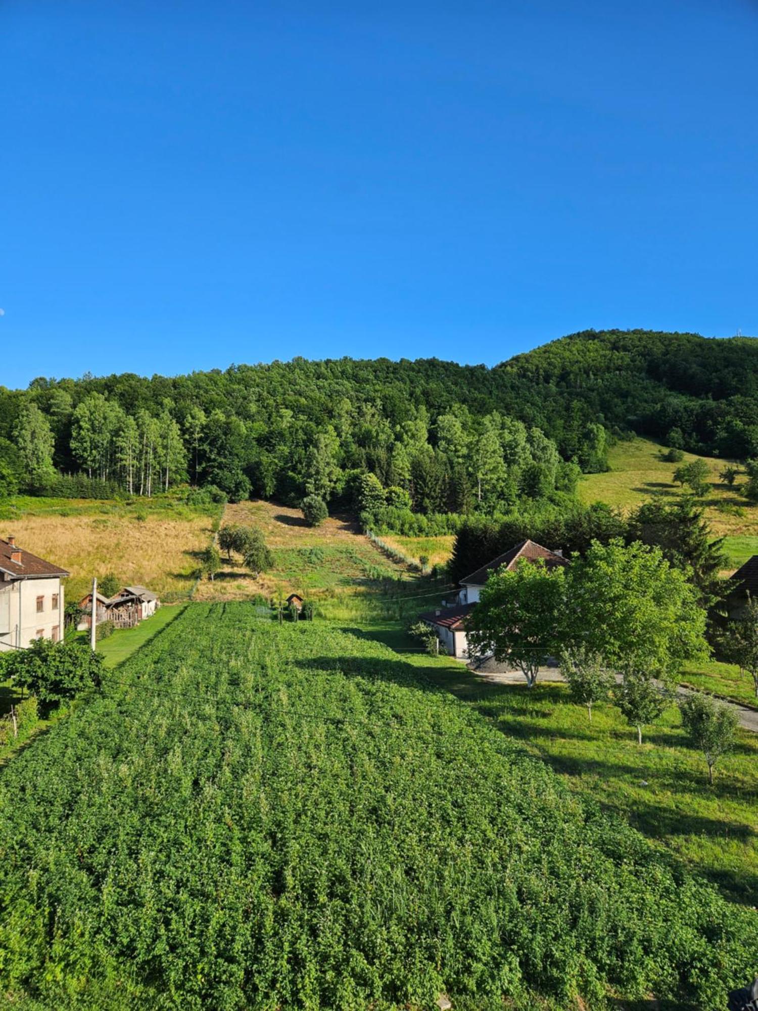 Apartmani Spa Bjelasica Bijelo Polje Εξωτερικό φωτογραφία